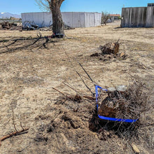 Load image into Gallery viewer, Photo - lifestyle view