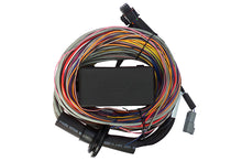 Load image into Gallery viewer, Haltech Elite 750 Premium Universal Wire-In Harness - 2.5m (8ft)