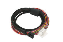 Load image into Gallery viewer, Haltech Platinum PRO/Sport Plug-In 8ft Auxiliary I/O Harness