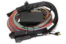 Load image into Gallery viewer, Haltech Elite 1500 Premium Universal Wire-In Harness - 2.5m (8ft)